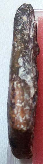 พิมพ์ตรีกาย เนื้อดินเก่าๆ