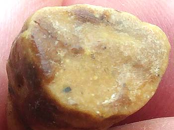 พระปิดตา เนื้อผงผสมว่าน หลวงปู่ยิ้ม วัดชายทุ่ง สุพรรณบุรี