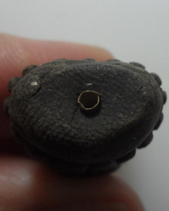 *** จ.สงขลา *** หลวงพ่อทวดบัวรอบเนื้อว่าน หลวงพ่อตุด สุสานหารคอกช้าง