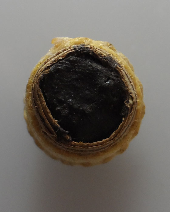 ตะกรุดใบลานอุดมวลสารเก่ายุคแรก ครูบาหาญ วัดดงลาน จ.แพร่