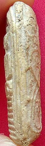 *พิมพ์เล็บมือ หลังยันต์ห้า เนื้อผง หลวงพ่อหม่น วัดพระยาปลา(คลองสิบสอง) ปทุมธานี*