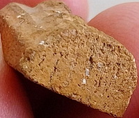 *พระชัยวัฒน์ครึ่งซีก เนื้อดิน ท่านเจ้าคุณศรีฯ(สนธิ์) วัดสุทัศน์ฯ กทม.*