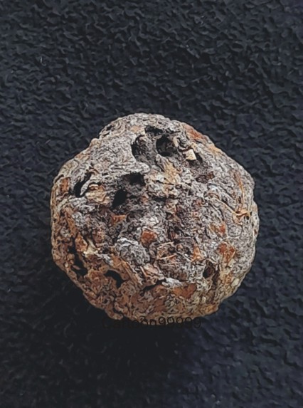 ชานหมากชาตรี หลวงพ่อฤาษีลิงดำ วัดท่าซุง อุทัยธานีครับผม หายากมากๆ ครับ เดิมๆ ครับ