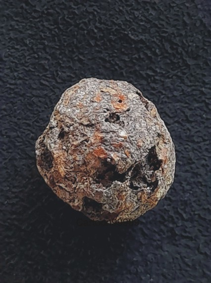 ชานหมากชาตรี หลวงพ่อฤาษีลิงดำ วัดท่าซุง อุทัยธานีครับผม หายากมากๆ ครับ เดิมๆ ครับ