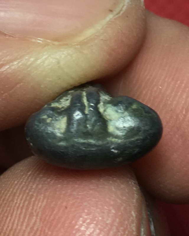 พระ ปิดตา ยุคแรก หลวงปู่เอี่ยม วัดหนัง เนื้อนะหัวเข่า หลังอูม ในตลับพุ๊กอย่างดี