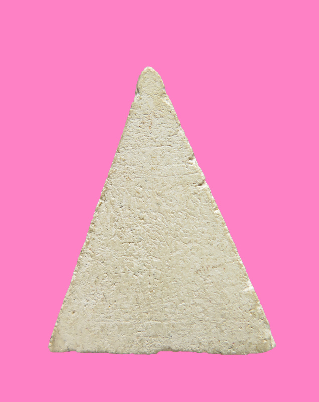 นางพญา เนื้อผงสวย