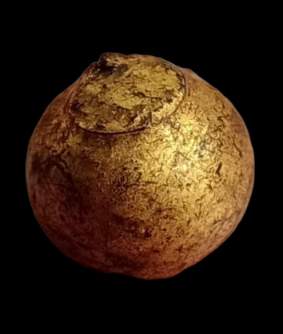 ลูกอมเจ็ดพญาช้างสาร หลวงพ่อดิ่ง วัดบางวัว