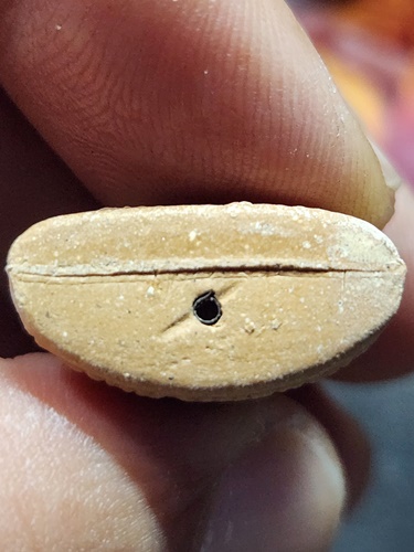 วัดท้องไทร นครปฐม  รูปหล่อ หลวงปู่อั๊บ รุ่นอายุวัฒนมงคล 90