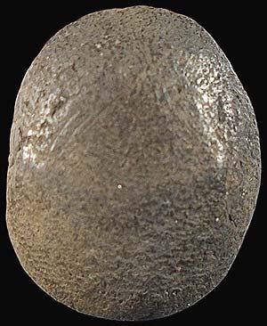 ปิดตาเม็ดบัว