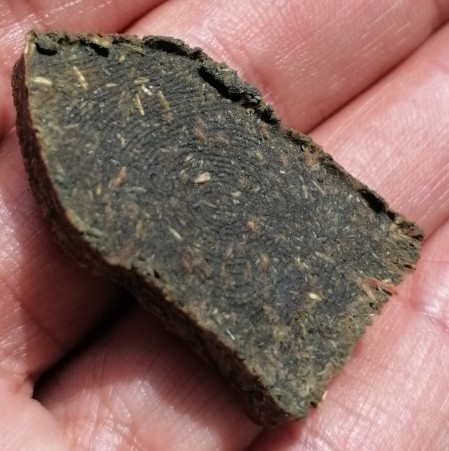 พระยอดขุนพล​ เนื้อว่าน​ พระอาจารย์นก​ วัดเขาบังเหย​ จ.ชัยภูมิ​ เคาะเดียว   