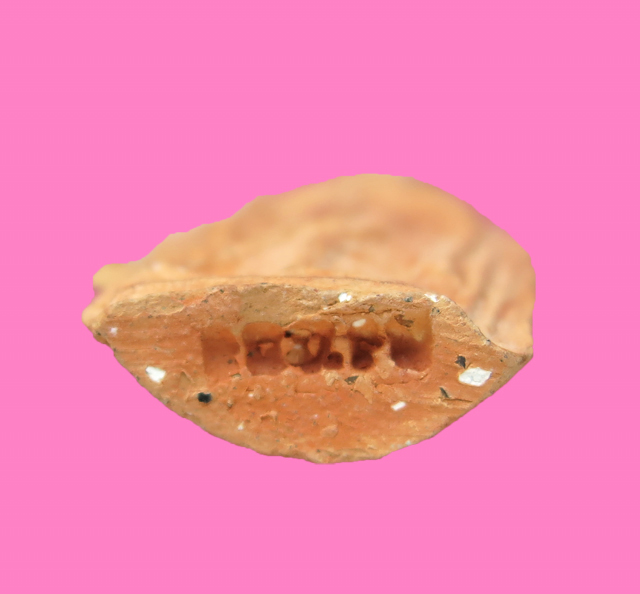 พระลีลา หลวงพ่อเต๋ วัดสามง่าม นครปฐม