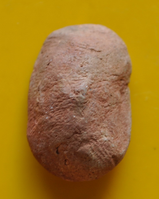 พระเนื้อดิน เจ้าคุณโพธิ์ วัดชัยพฤกษมาลา