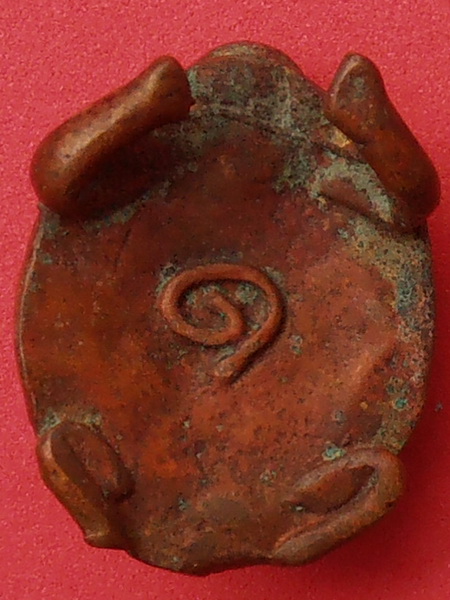 เต่าหลวงพ่ออิ่ม วัดหัวเขา สุพรรณบุรี