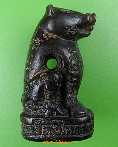 หมูทองแดงร.๗หลวงพ่อสมคิด วัดบึงตาต้า ระยอง .1013.*