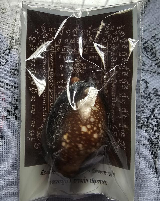 เบี้ยแก้ อุดผงพรายกุมารคลุกรักชันโรงพร้อมกระดาษยันต์ ปี 54 หลวงปู่บัว หลวงปู่คำบุ ปลุกเสก