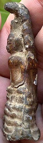 *พระนาคปรก รัตนโกสินทร์ ขนาดเล็ก*