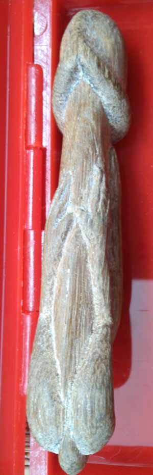 *ลิงอุ้มปลัด*