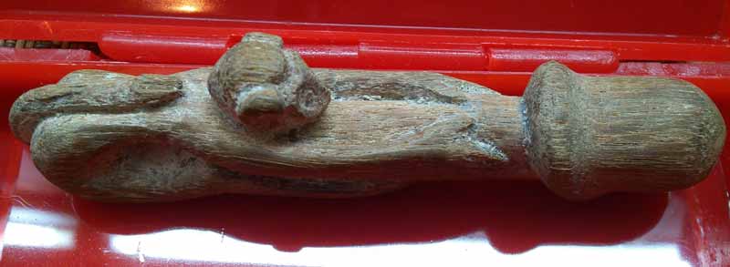 *ลิงอุ้มปลัด*