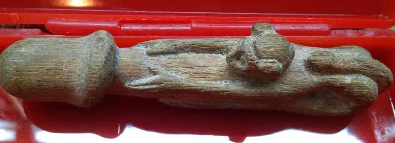 *ลิงอุ้มปลัด*