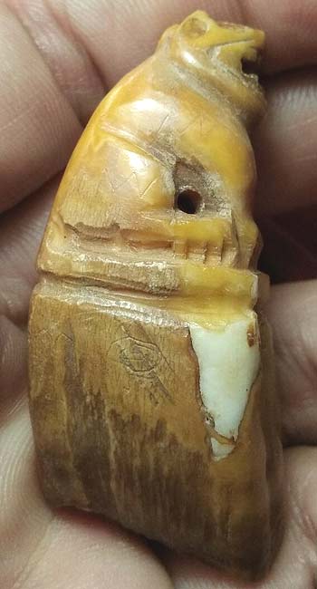 *เสือเขี้ยวหมู หลวงพ่อสาย วัดคลองด่าน(บางเหี้ย) สมุทรปราการ*