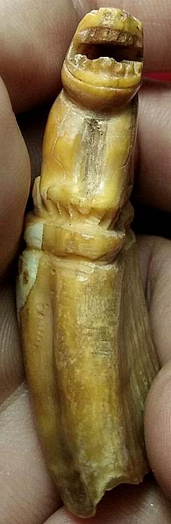 *เสือเขี้ยวหมู หลวงพ่อสาย วัดคลองด่าน(บางเหี้ย) สมุทรปราการ*