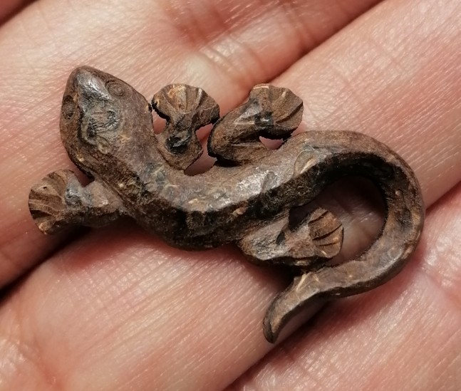 จิ้งจกดวงดี กะลาตาเดียวแกะ หลวงปู่หนูเพชร วัดป่าภูมิทักษ์ จ.สกลนคร โค๊ตเงิน เคาะเดียว