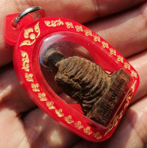 พระรูปเหมือนเนื้อว่านยา​ พระราชวชิรสุนทร​ วัดบ้านมะเกลือ​ จ.นครสวรรค์ เลี่ยมพร้อมใช้​ เคาะเดียว   