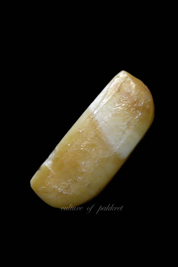 พระพุทธ หลวงพ่อเดิม วัดหนองโพ (536)