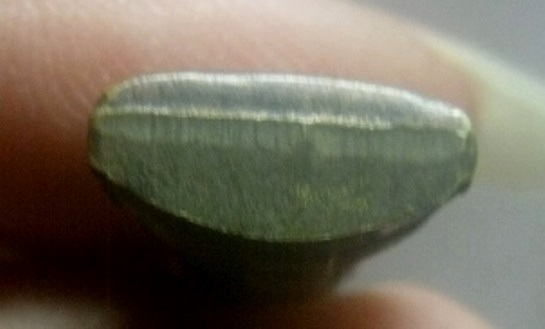 **เบา​ๆ​**รูปเหมือนปั๊มรุ่นแรก หลวงพ่อหวล วัดชาวเหนือ จ.ราชบุรี**พิมพ์เล็ก สวยๆ