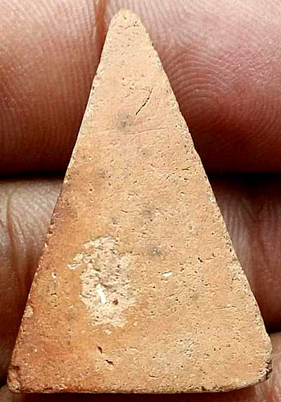 *นางพญา*