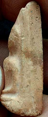 *นางพญา*