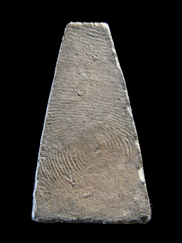 $ พระผงสุพรรณ หลวงพ่อมุ่ย วัดดอนไร่ จ.สุพรรณบุรี 