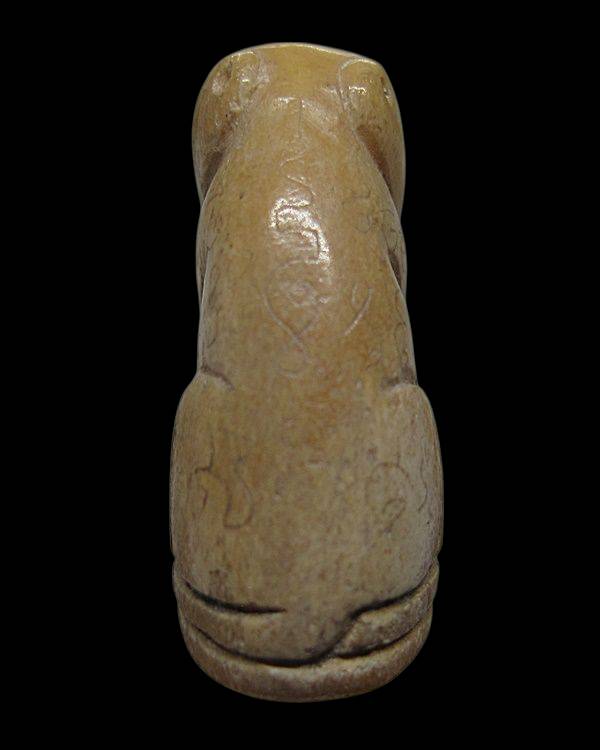 กระดูกเสือแกะ เสือหลวงพ่อเรือน วัดคลองด่าน (บางเหี้ย) จ.สมุทรปราการ