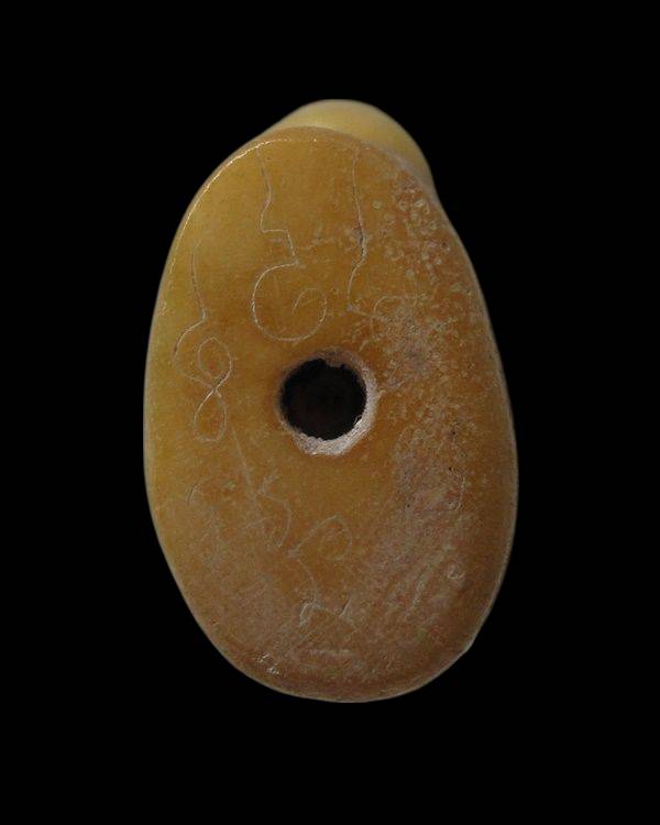 กระดูกเสือแกะ เสือหลวงพ่อเรือน วัดคลองด่าน (บางเหี้ย) จ.สมุทรปราการ