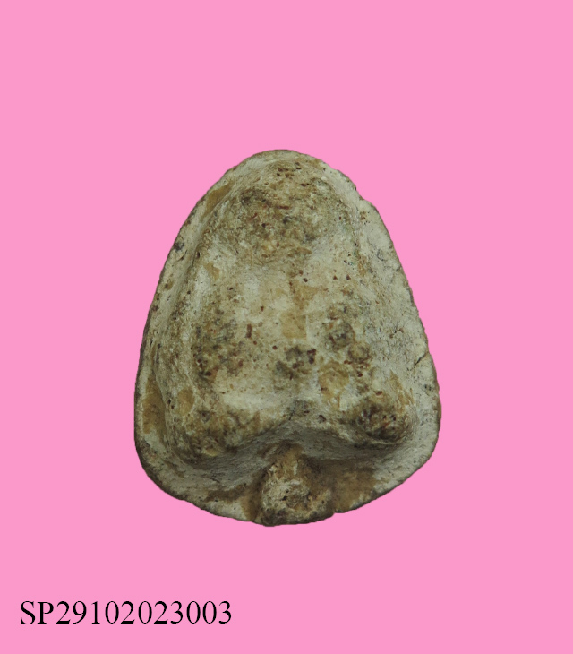 พระปิดตาเม็ดบัว เนื้อผง หลังกดนางกวัก