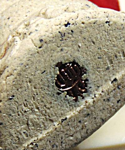 พระกริ่งผงมาตา หลวงพ่อจง วัดสังฆาราม สุโขทัย