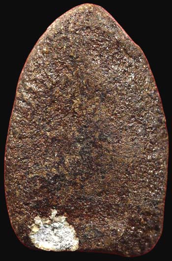 กลีบบัว เนื้อผง จุ่มรัก