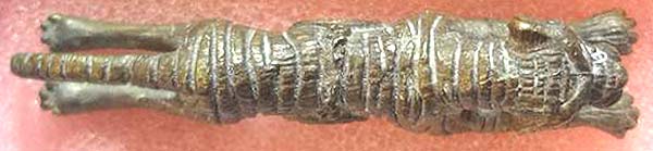 เสือเผ่น