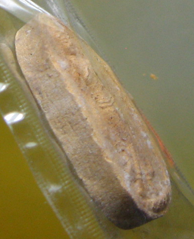 หลวงพ่อสาคร มนุญโญ วัดหนองกรับ อ.บ้านค่าย จ.ระยอง (ศิษย์เอกหลวงปู่ทิม)