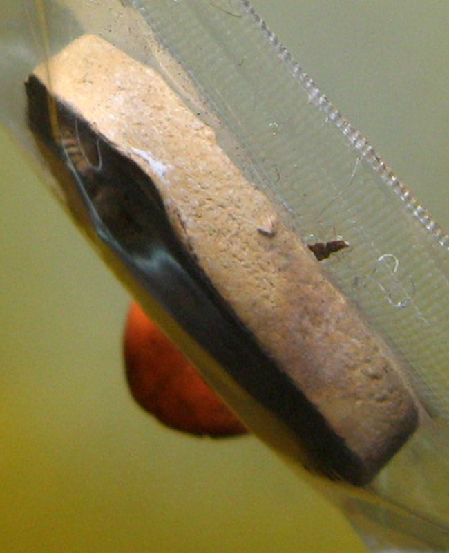 หลวงพ่อสาคร มนุญโญ วัดหนองกรับ อ.บ้านค่าย จ.ระยอง (ศิษย์เอกหลวงปู่ทิม)