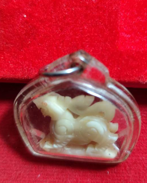 สิงห์แกะ พร้อมเลี่ยมกันน้ำ ไม่ทราบเกจิ