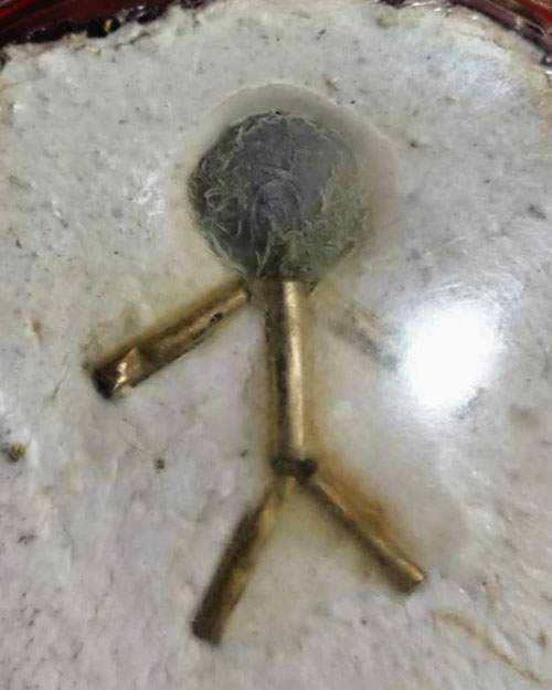  หน้ากากเสือแม่ลูกอ่อน หลังตระกรุด เนื้อแร่ ไม่ทราบเกจิ 