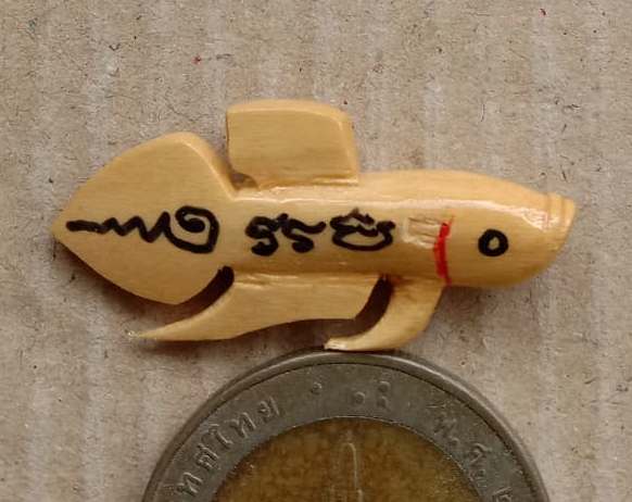 ปลากัดเรียกโชค เรียกลาภ หลวงพ่อน่วม วัดโพธิ์ศรีเจริญ จ.สุพรรณบุรี "เนื้อไม้วาสนา" นิยม