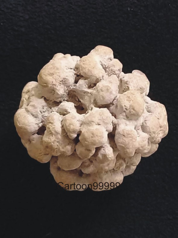 ***** ลูกอมพระธาตุพระสิวลี *****