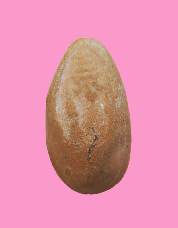 ่ขุนแผน หลวงพ่อถิร วัดป่าเลไลย์