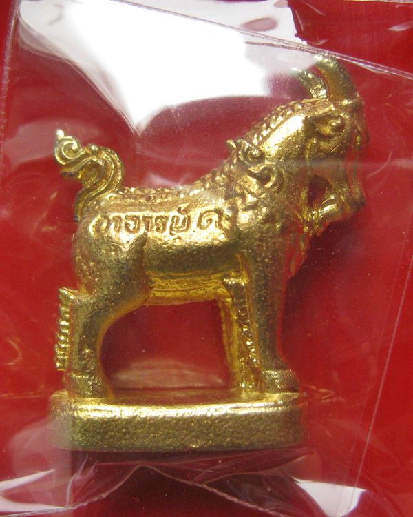 แพะมหาเสน่ห์ แพะตัวเมีย รุ่นคู่ชีวิต หลวงพ่อคง(สัญญา) วัดกลางบางแก้ว ออกปี 58 เป็นแพะรุ่นเดียวของหลว