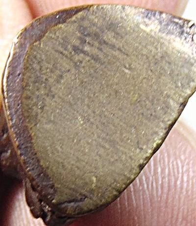 ๒๐ รูปหล่อครูบาศรีวิชัย  ๒