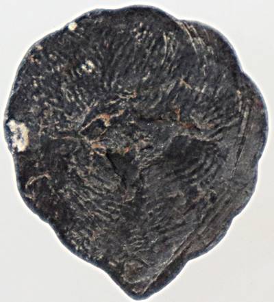 ๒๐ พระรูปเหมือนใบโพธิ์ท่านพ่อลี