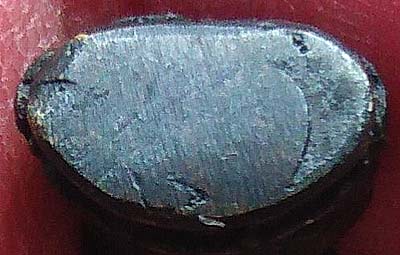 พระชัยวัฒน์ไพรีพินาศ