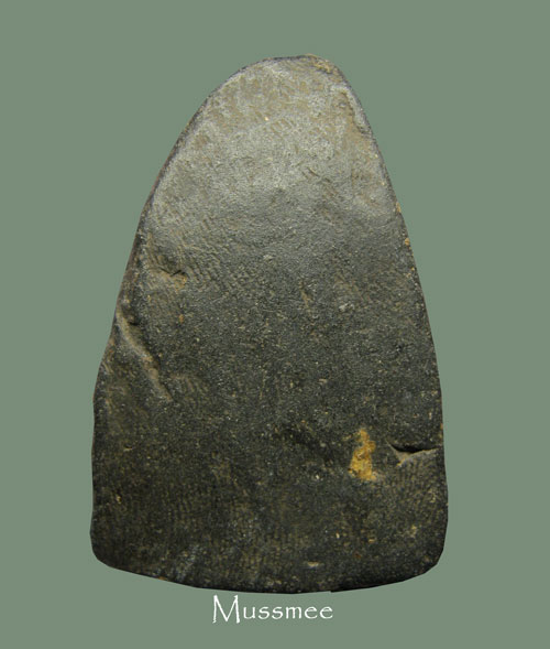 พระรูปเหมือนเนื้อผงผสมว่านรุ่นแรก หลวงปู่จันทร์ วัดทุ่งเฟื้อ พิมพ์รัศมี นครศรีธรรมราช